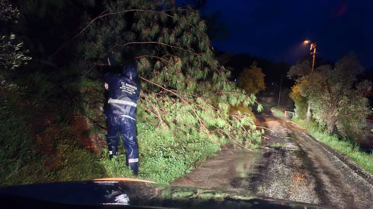 Marmaris’te Şiddetli Yağış ve Fırtına: 25 Ağaç Devrildi, Ekipler Seferber Oldu 2